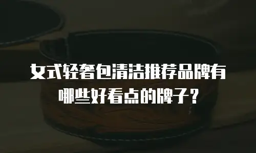 女式轻奢包清洁推荐品牌有哪些好看点的牌子？
