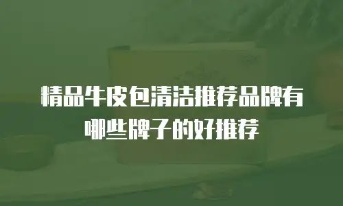 精品牛皮包清洁推荐品牌有哪些牌子的好推荐