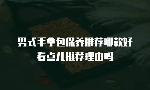 男式手拿包保养推荐哪款好看点儿推荐理由吗