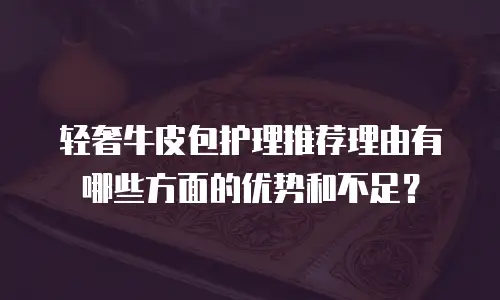 轻奢牛皮包护理推荐理由有哪些方面的优势和不足？