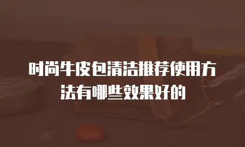 时尚牛皮包清洁推荐使用方法有哪些效果好的