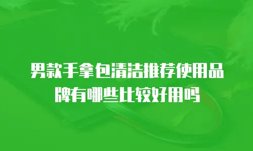 男款手拿包清洁推荐使用品牌有哪些比较好用吗