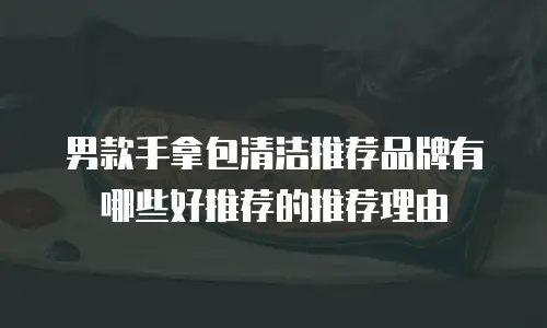 男款手拿包清洁推荐品牌有哪些好推荐的推荐理由