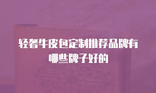 轻奢牛皮包定制推荐品牌有哪些牌子好的