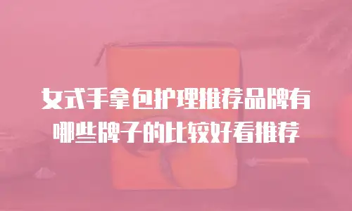 女式手拿包护理推荐品牌有哪些牌子的比较好看推荐