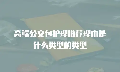 高端公文包护理推荐理由是什么类型的类型