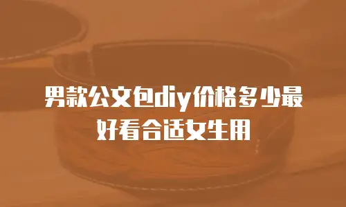 男款公文包diy价格多少最好看合适女生用
