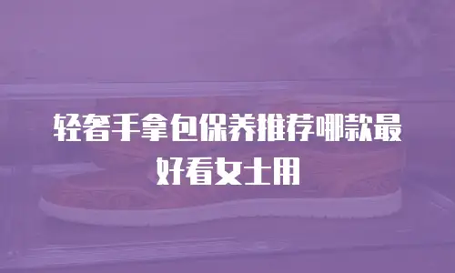 轻奢手拿包保养推荐哪款最好看女士用