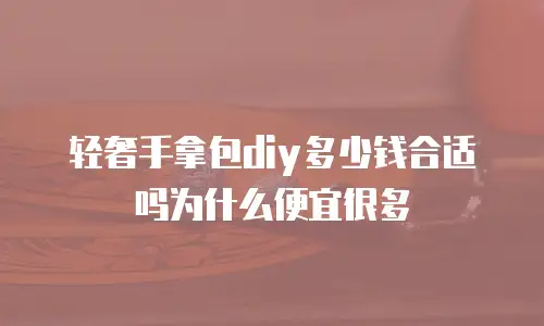 轻奢手拿包diy多少钱合适吗为什么便宜很多
