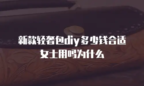 新款轻奢包diy多少钱合适女士用吗为什么