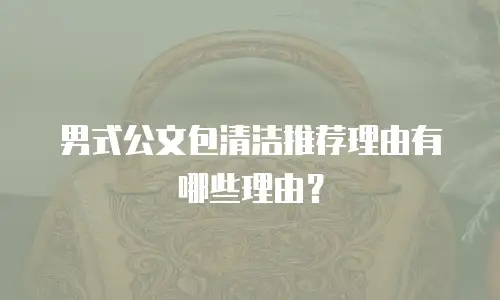 男式公文包清洁推荐理由有哪些理由？