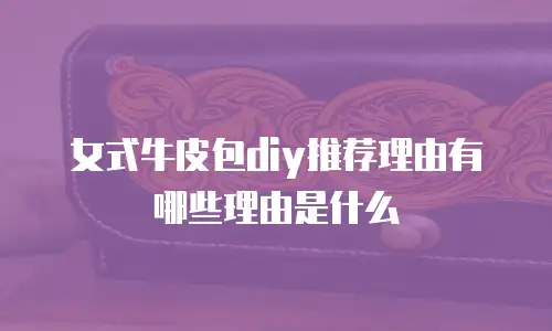 女式牛皮包diy推荐理由有哪些理由是什么