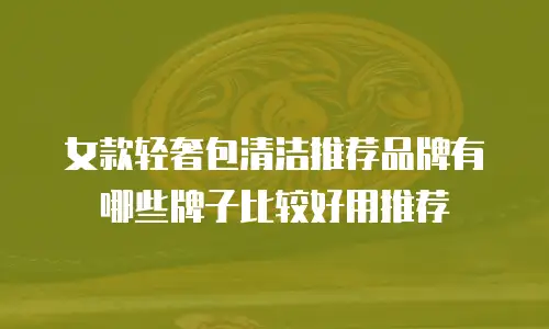 女款轻奢包清洁推荐品牌有哪些牌子比较好用推荐