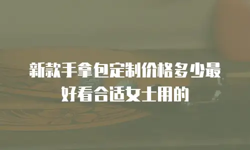 新款手拿包定制价格多少最好看合适女士用的
