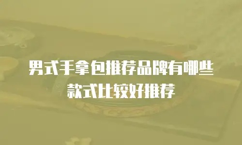 男式手拿包推荐品牌有哪些款式比较好推荐