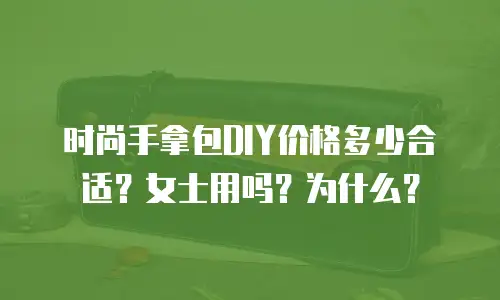 时尚手拿包DIY价格多少合适？女士用吗？为什么？