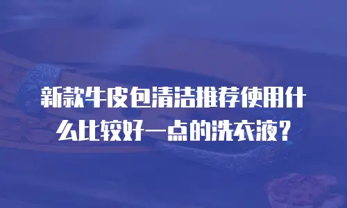新款牛皮包清洁推荐使用什么比较好一点的洗衣液？