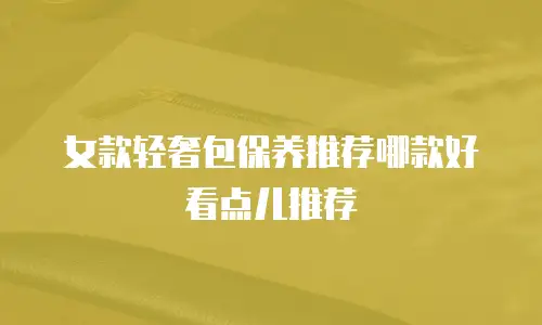 女款轻奢包保养推荐哪款好看点儿推荐