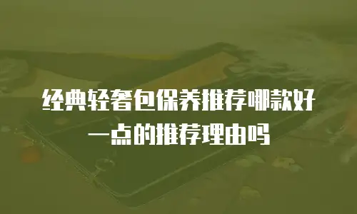 经典轻奢包保养推荐哪款好一点的推荐理由吗
