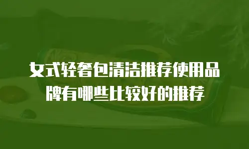 女式轻奢包清洁推荐使用品牌有哪些比较好的推荐