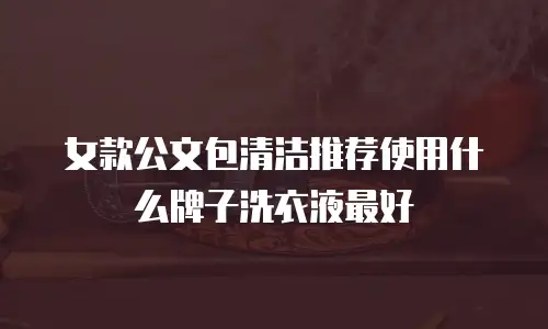 女款公文包清洁推荐使用什么牌子洗衣液最好