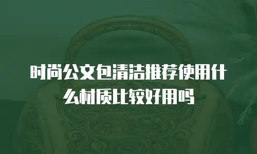 时尚公文包清洁推荐使用什么材质比较好用吗