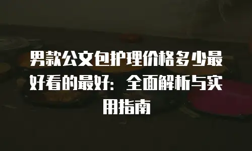 男款公文包护理价格多少最好看的最好：全面解析与实用指南