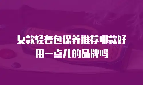 女款轻奢包保养推荐哪款好用一点儿的品牌吗
