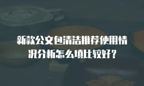 新款公文包清洁推荐使用情况分析怎么填比较好？
