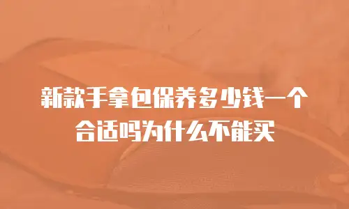 新款手拿包保养多少钱一个合适吗为什么不能买