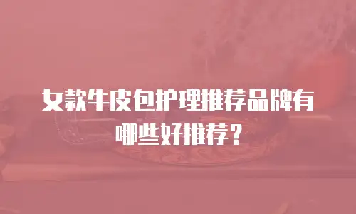 女款牛皮包护理推荐品牌有哪些好推荐？