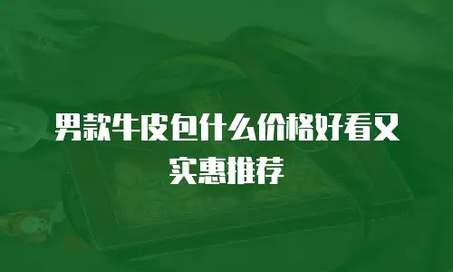 男款牛皮包什么价格好看又实惠推荐