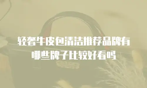 轻奢牛皮包清洁推荐品牌有哪些牌子比较好看吗
