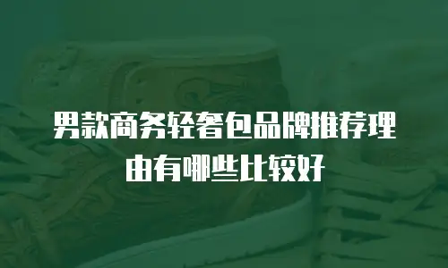 男款商务轻奢包品牌推荐理由有哪些比较好