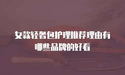 女款轻奢包护理推荐理由有哪些品牌的好看