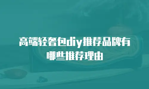 高端轻奢包diy推荐品牌有哪些推荐理由