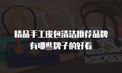 精品手工皮包清洁推荐品牌有哪些牌子的好看