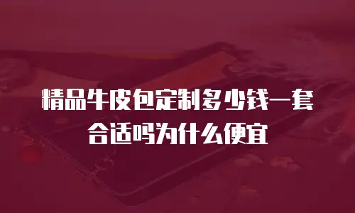 精品牛皮包定制多少钱一套合适吗为什么便宜