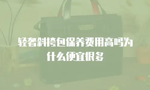 轻奢斜挎包保养费用高吗为什么便宜很多