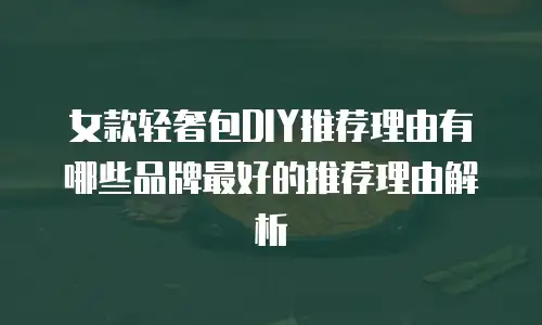 女款轻奢包DIY推荐理由有哪些品牌最好的推荐理由解析