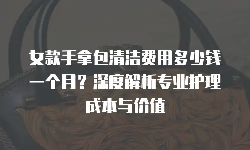 女款手拿包清洁费用多少钱一个月？深度解析专业护理成本与价值