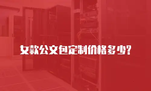 女款公文包定制价格多少?