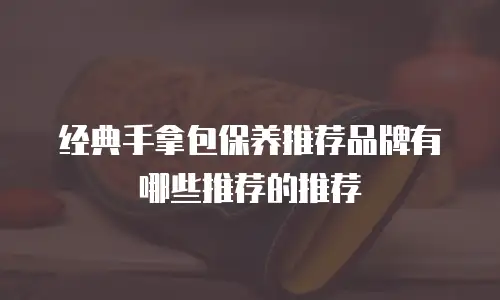 经典手拿包保养推荐品牌有哪些推荐的推荐