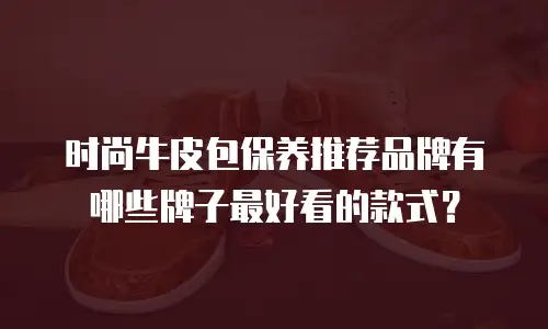 时尚牛皮包保养推荐品牌有哪些牌子最好看的款式？