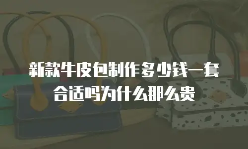 新款牛皮包制作多少钱一套合适吗为什么那么贵
