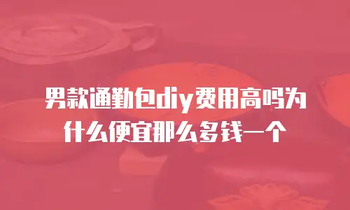 男款通勤包diy费用高吗为什么便宜那么多钱一个