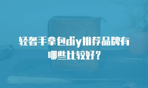 轻奢手拿包diy推荐品牌有哪些比较好？