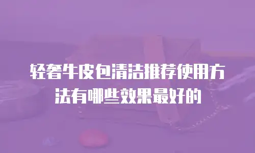 轻奢牛皮包清洁推荐使用方法有哪些效果最好的