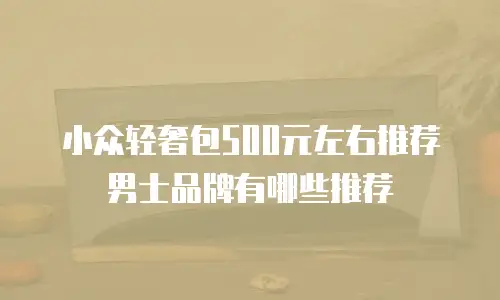 小众轻奢包500元左右推荐男士品牌有哪些推荐