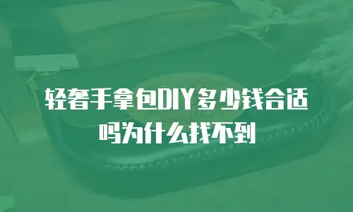 轻奢手拿包DIY多少钱合适吗为什么找不到